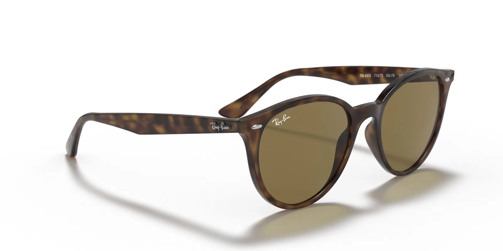 Ray-Ban 4305 Sunglasses - view 76